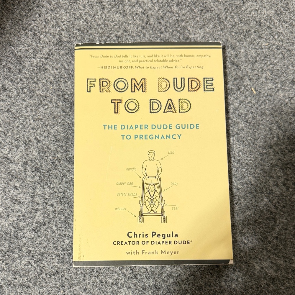 From Dude to Dad Book